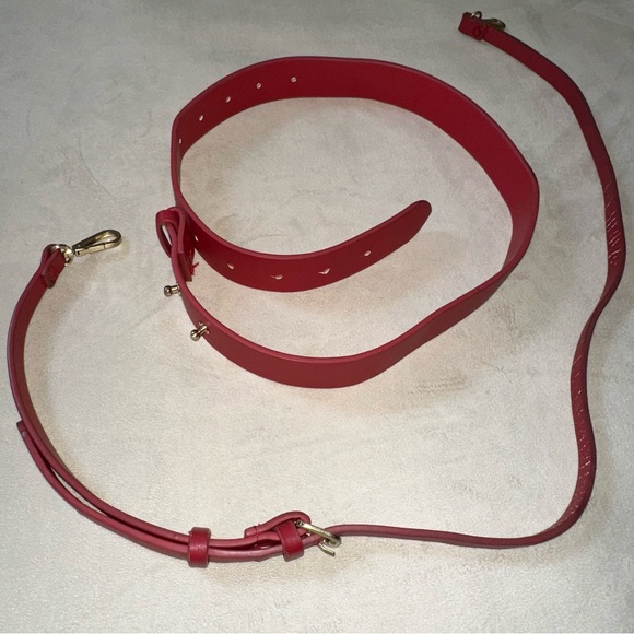 Zara Crossbody and Fannypack - Picture 12 of 16